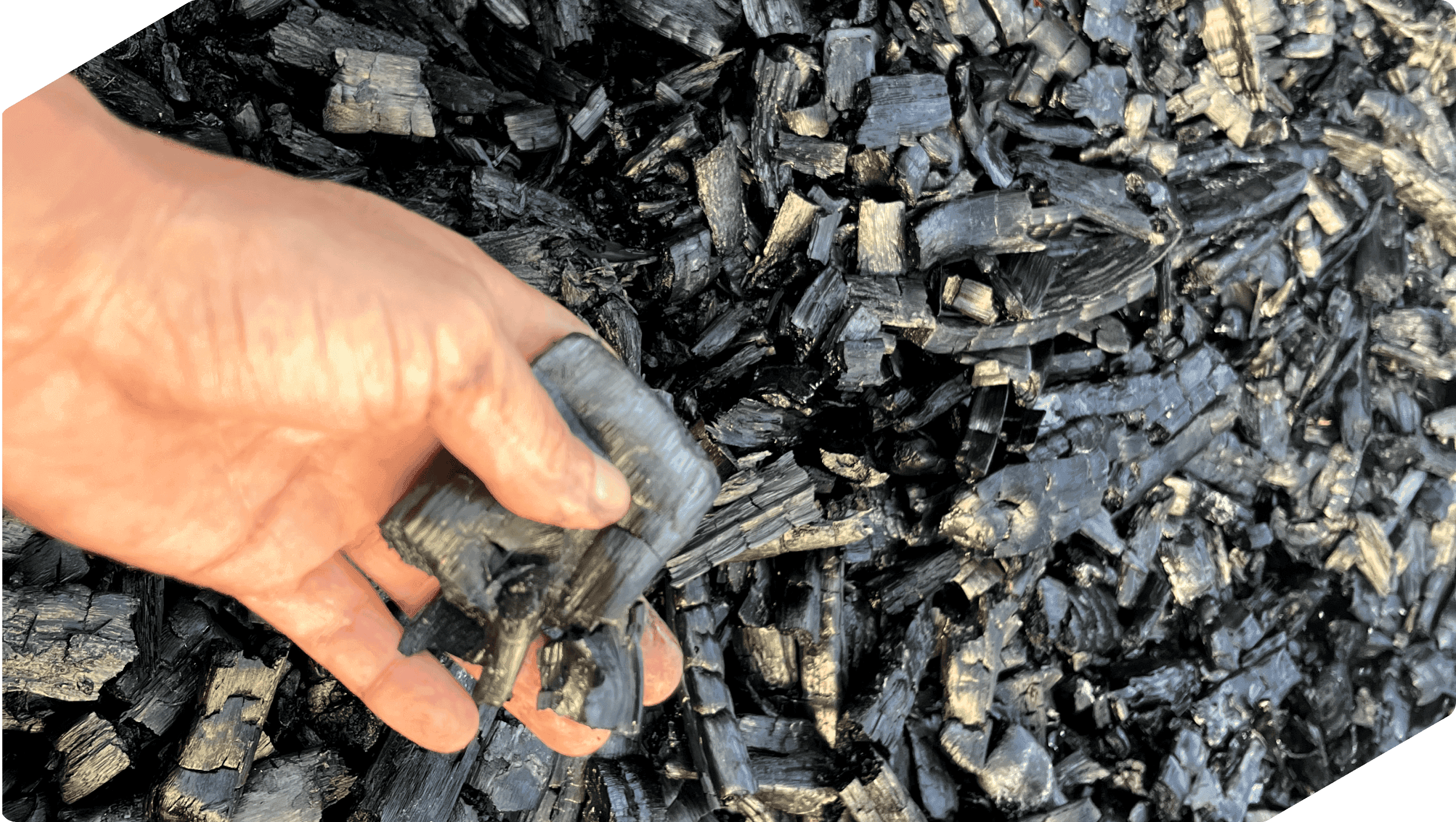 Why Carbon Markets Are Moving From Volume to Value