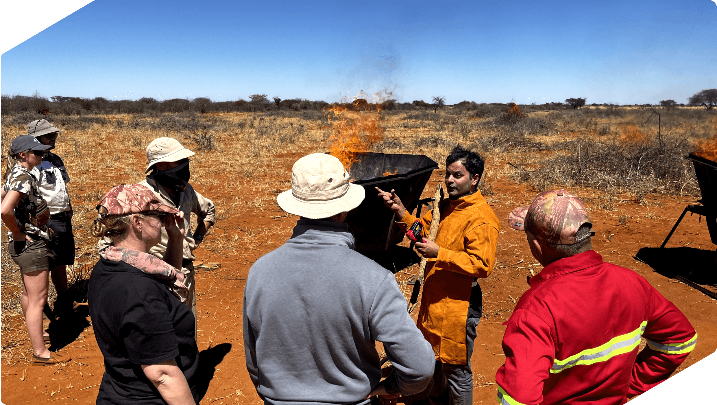 What Buyers Need to Know About Carbon Removal Standards