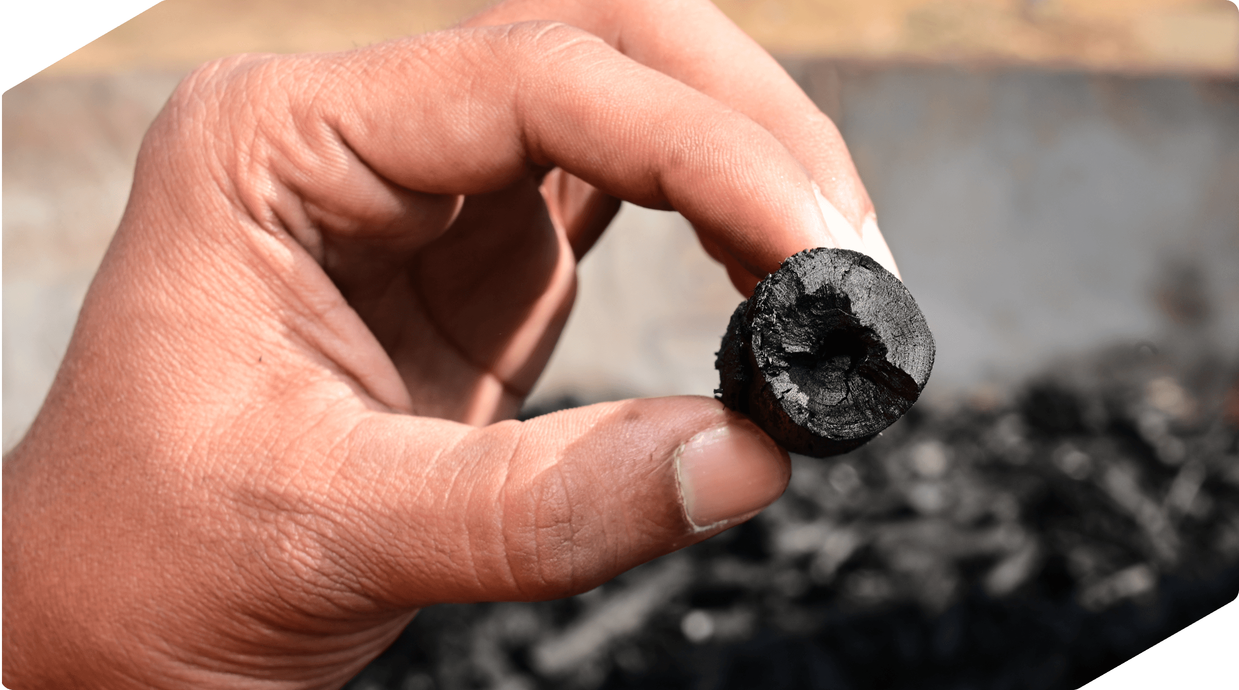 Why the Future of Carbon Credits Depends on Quality, Not Quantity