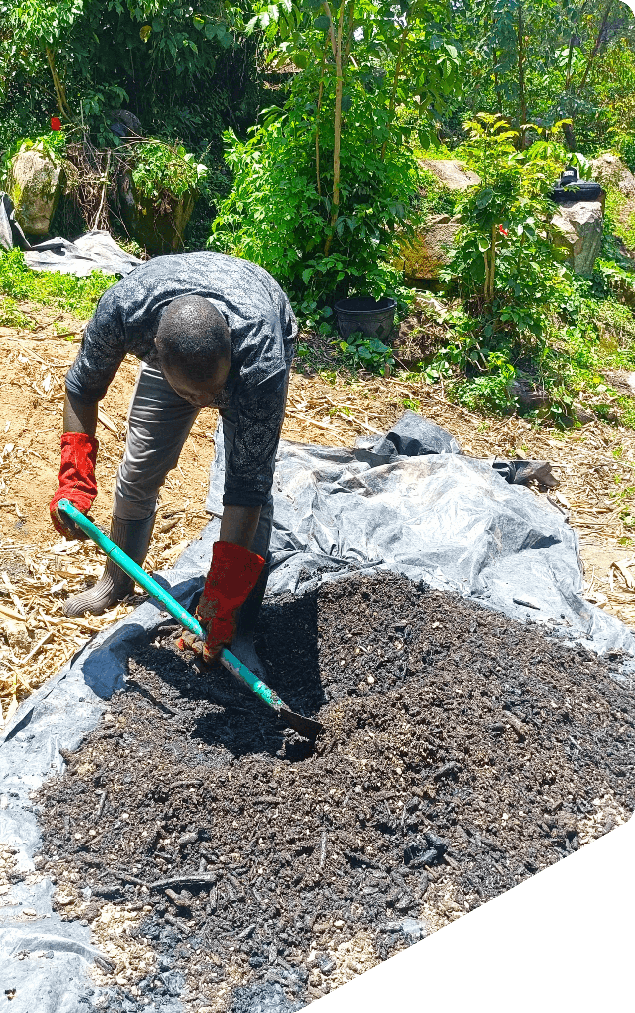Illustration of a farm with green fields