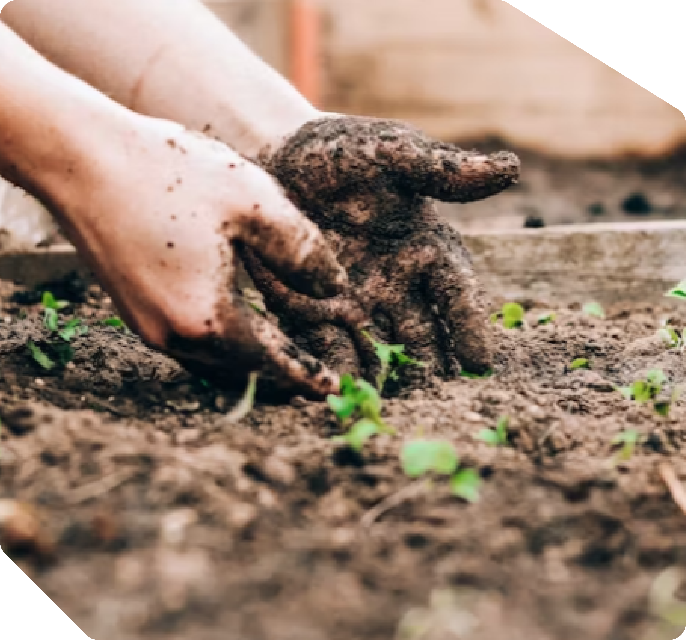 Scale Your Impact Through Our Global Network